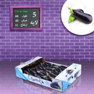 کارتن بادمجان لمینتی طرح آبی عمومی 1