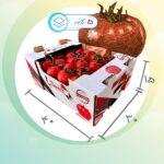 کارتن لمینتی گوجه صادراتی 1-1