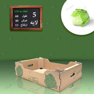 کارتن آیس برگ فلکسویی خرید آنلاین
