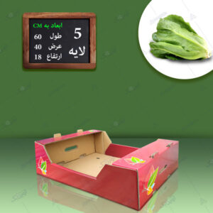 کارتن کاهو رومانو قرمز طرح برگ
