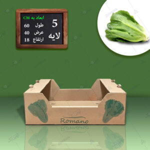 کارتن کاهو رومانو فلکسویی